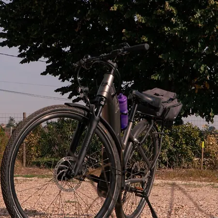 Au Chai Bigaroux Saint-emilion Apartment