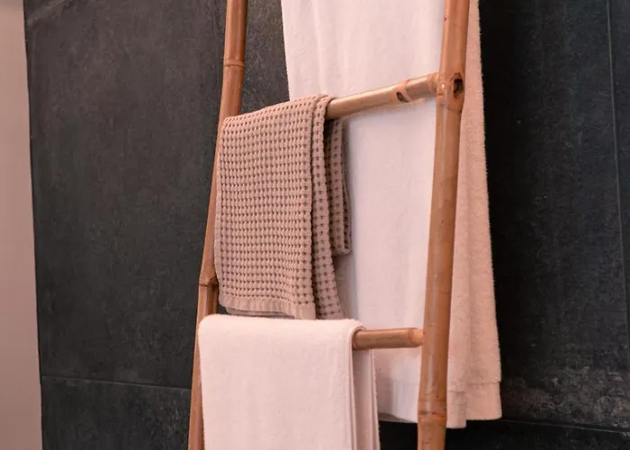 Au Chai Bigaroux Saint-emilion 公寓