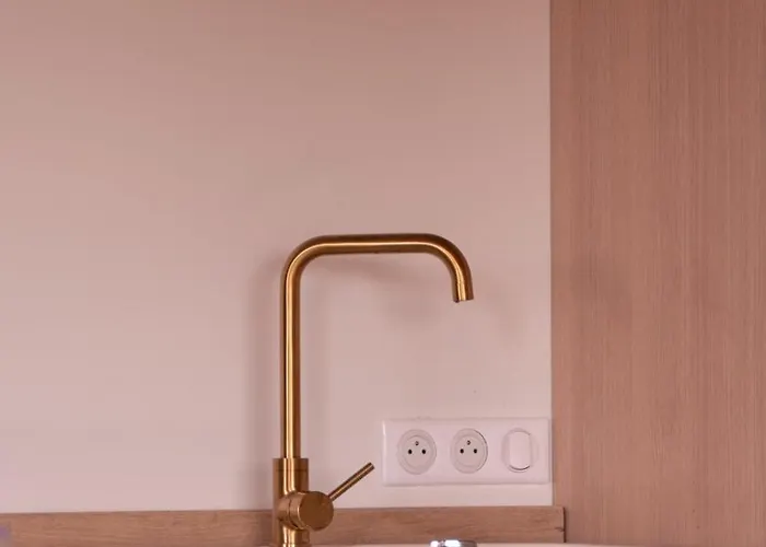 公寓 Au Chai Bigaroux Saint-emilion *