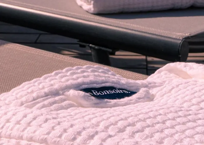 Au Chai Bigaroux Saint-emilion Apartment *