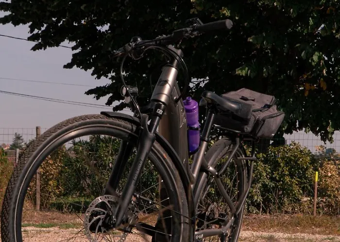 Au Chai Bigaroux Saint-emilion Apartment