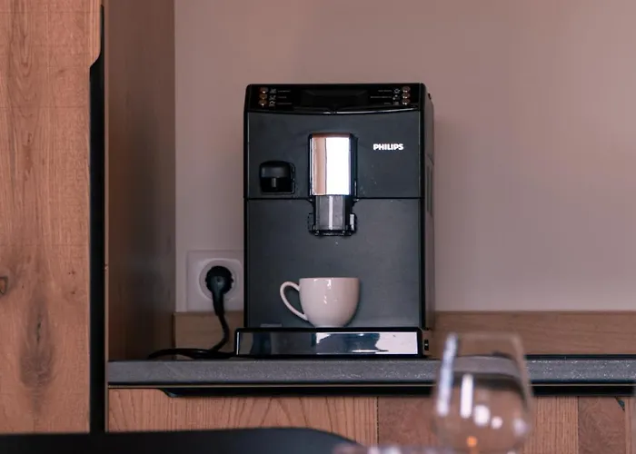 公寓 Au Chai Bigaroux Saint-emilion